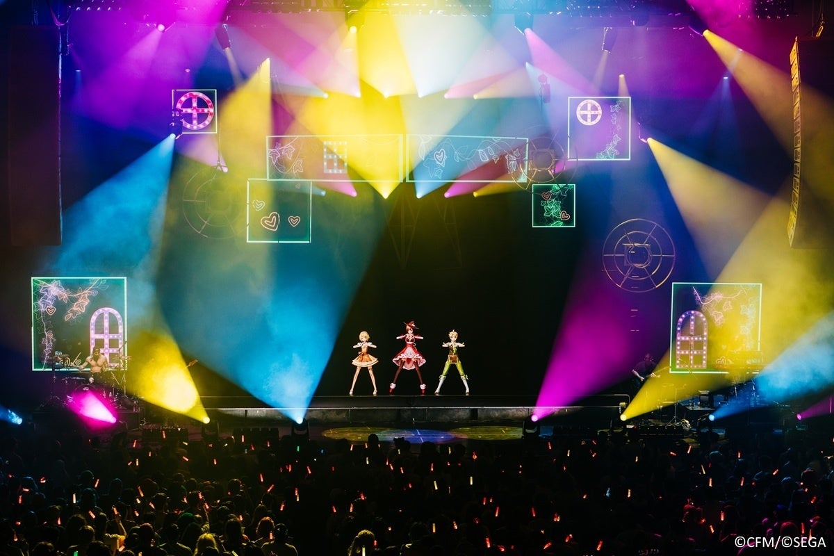 ライブパフォーマンスの様子